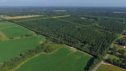 Timberland Property for sale in Walton County, Florida
