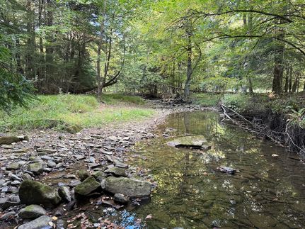 Recreational Property for sale in Warren County, Pennsylvania