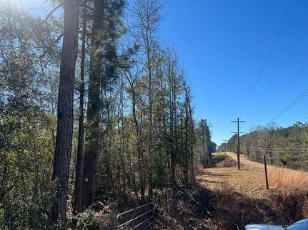 Timberland Property in Wilkinson County, Mississippi