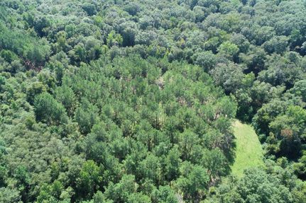 Farm and Ranch for sale in Henry County, Alabama