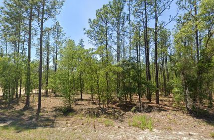 Timberland Property for sale in Marion County, Florida