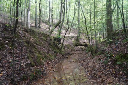 Timberland Property for sale in Marion County, Alabama