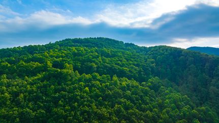 Land in Greenville County, South Carolina