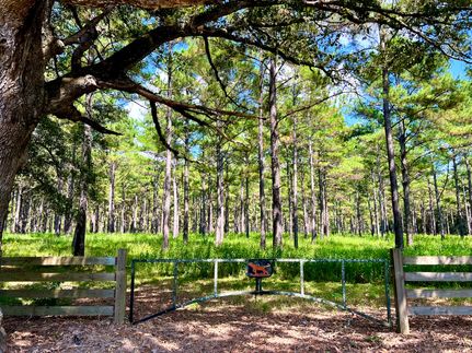 Timberland Property for sale in Thomas County, Georgia