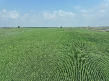 Farm and Ranch for sale in Burke County, North Dakota