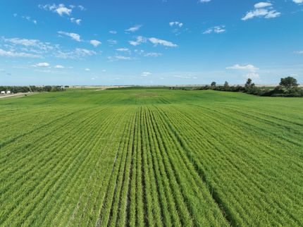 Farm and Ranch for sale in Mountrail County, North Dakota
