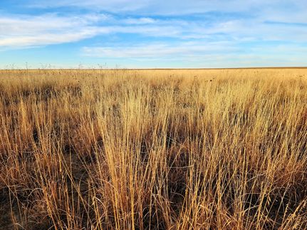 Farm and Ranch for sale in Kiowa County, Colorado