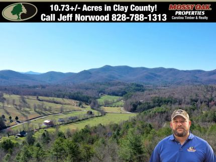 Farm and Ranch for sale in Clay County, North Carolina