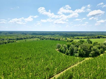 Farm and Ranch for sale in Randolph County, Georgia
