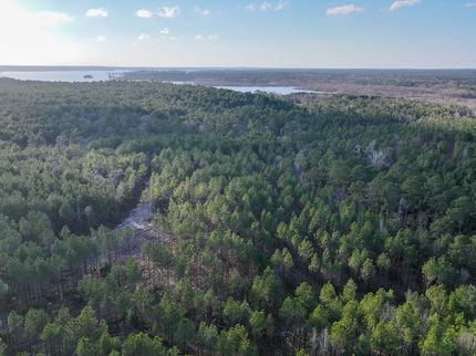 Hunting Property in Trinity County, Texas