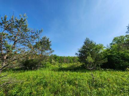 Land for sale in Chemung County, New York