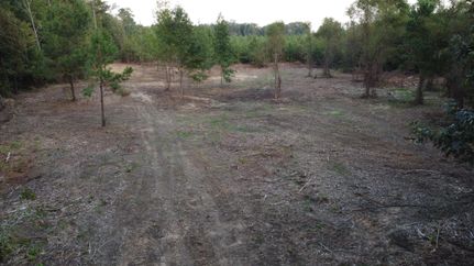 Timberland Property for sale in Kemper County, Mississippi