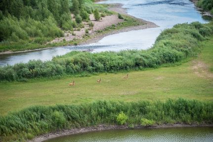 Timberland Property for sale in Routt County, Colorado