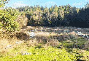Undeveloped Land in Josephine County, Oregon