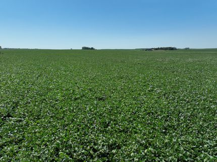 Farm and Ranch for sale in Barnes County, North Dakota