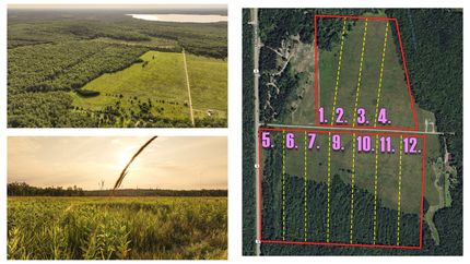 Undeveloped Land for sale in Forest County, Wisconsin