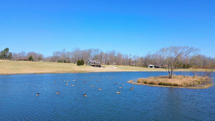 Undeveloped Land in Carroll County, Tennessee