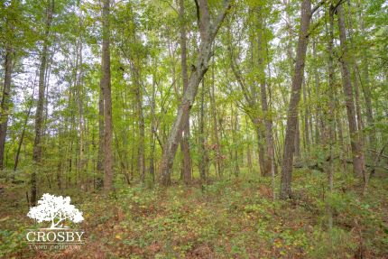 Undeveloped Land for sale in Wilkes County, Georgia