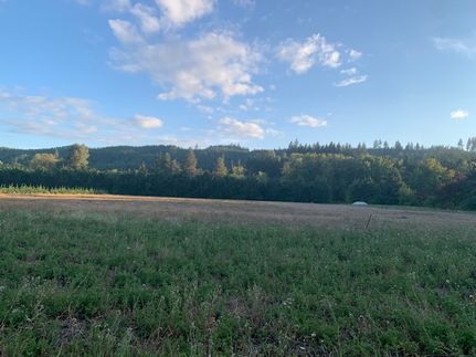 Undeveloped Land for sale in Washington County, Oregon