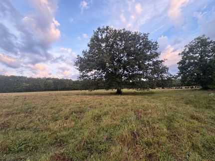 Undeveloped Land for sale in Morgan County, Alabama