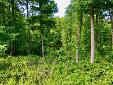 Farm and Ranch for sale in Humphreys County, Tennessee