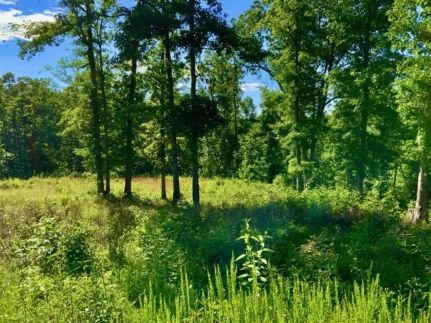Timberland Property for sale in Humphreys County, Tennessee