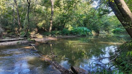 Waterfront Property for sale in Amite County, Mississippi