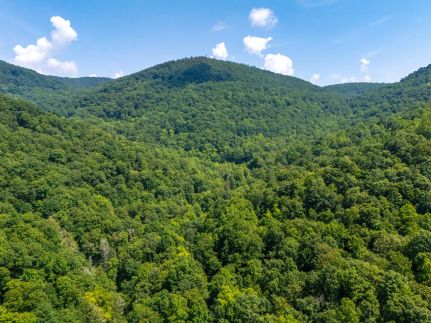 Undeveloped Land for sale in Campbell County, Tennessee
