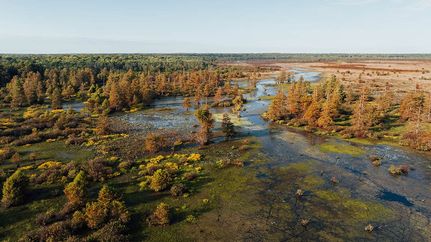 Undeveloped Land in Carroll County, Mississippi