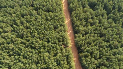 Recreational Property for sale in Union Parish, Louisiana