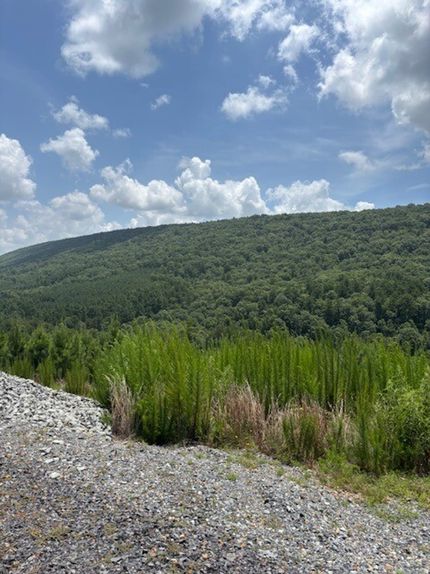 Recreational Property for sale in Le Flore County, Oklahoma