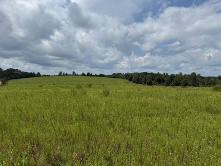 Undeveloped Land for sale in Barbour County, Alabama