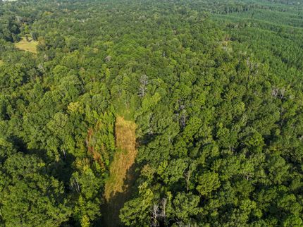 Timberland Property for sale in Copiah County, Mississippi