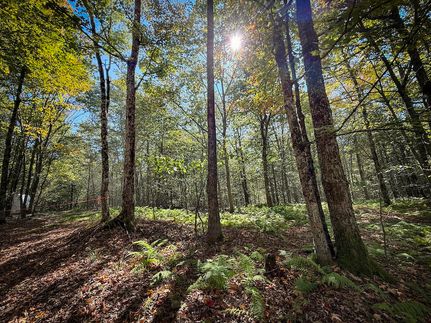 Timberland Property for sale in Oswego County, New York