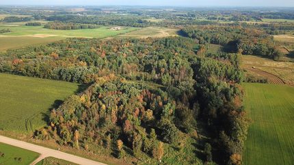 Timberland Property for sale in Morrison County, Minnesota