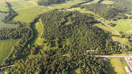 Undeveloped Land for sale in Butler County, Kentucky