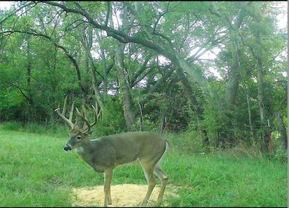 Farm and Ranch for sale in Labette County, Kansas