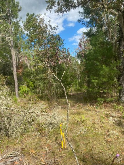 Recreational Property in Putnam County, Florida