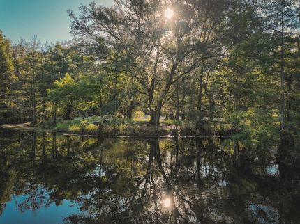 Timberland Property for sale in Jefferson County, Florida