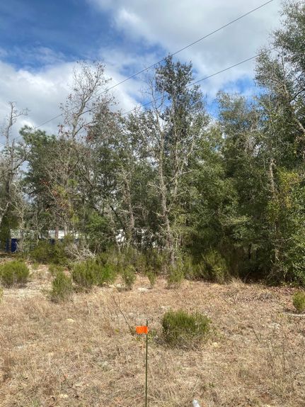 Timberland Property for sale in Putnam County, Florida