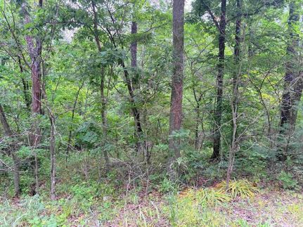 Recreational Property for sale in Benton County, Missouri