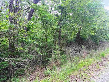 Undeveloped Land for sale in Benton County, Missouri