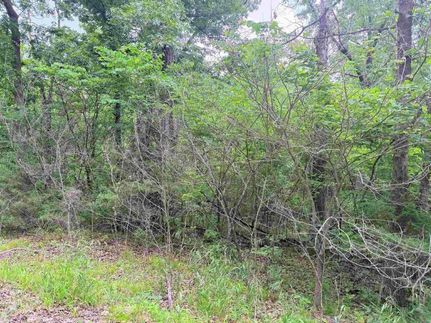 Undeveloped Land for sale in Benton County, Missouri
