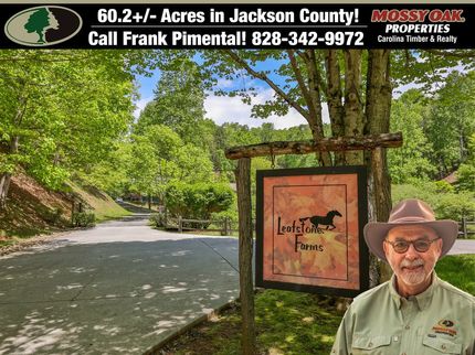 Undeveloped Land for sale in Jackson County, North Carolina
