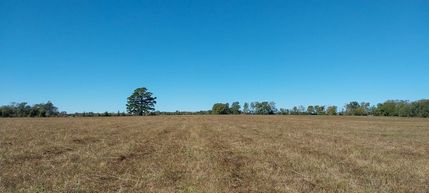 Recreational Property for sale in Houston County, Texas