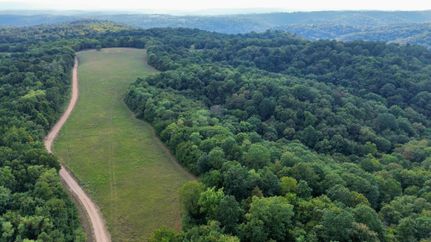 Timberland Property for sale in Izard County, Arkansas