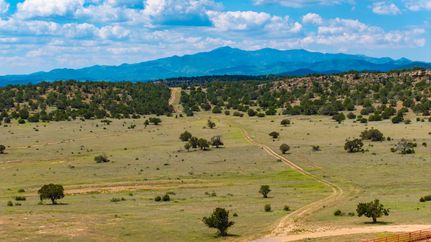 Undeveloped Land for sale in Lincoln County, New Mexico