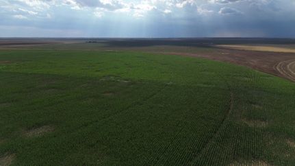 Oceanfront Property in Parmer County, Texas