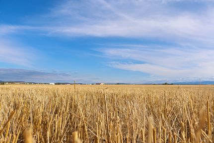 Undeveloped Land for sale in Fergus County, Montana