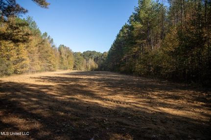 Land for sale in Yazoo County, Mississippi